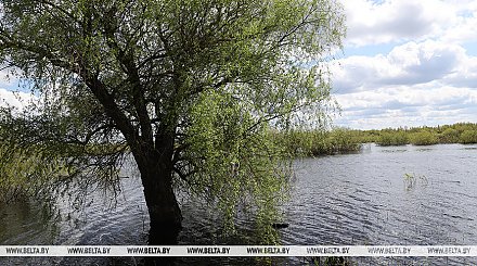 На ряде рек Беларуси уровень воды в июне оказался ниже исторических минимумов