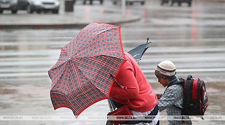 Мокрый снег с дождем и порывистый ветер ожидаются в Беларуси 30 марта