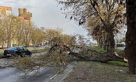 Последствия сильного ветра ликвидировали спасатели в Гродненской области