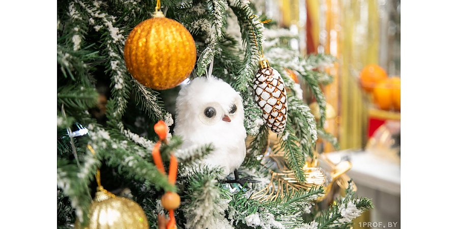 Когда ставить елку к Новому году и на какие приметы обратить внимание в Год Красной Огненной Лошади