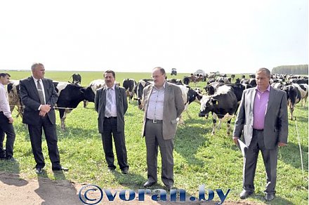 Соблюдается технология — растет производство