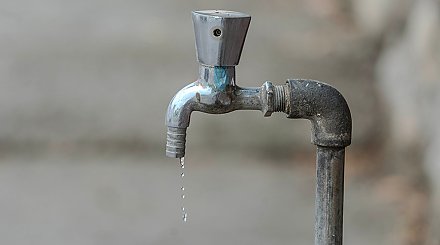 Польше грозит потеря продовольственной независимости из-за дефицита воды