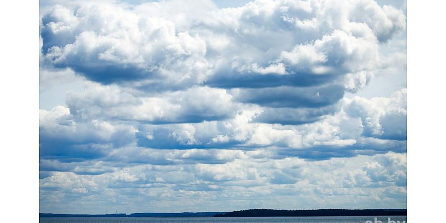 В МЧС напомнили, чем опасен сильный ветер