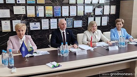 В Лиде обсудили государственную поддержку малого и среднего предпринимательства
