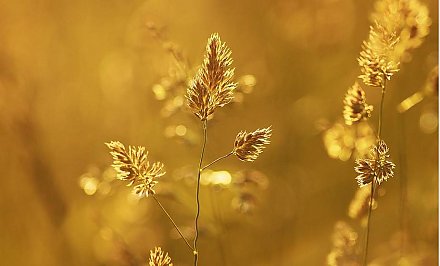 2020 год может войти в пятерку самых теплых в истории