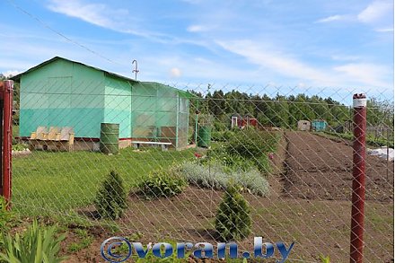 Какой отдачи ждем от дачи?