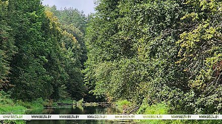 До +25°С и без осадков ожидается сегодня в Беларуси