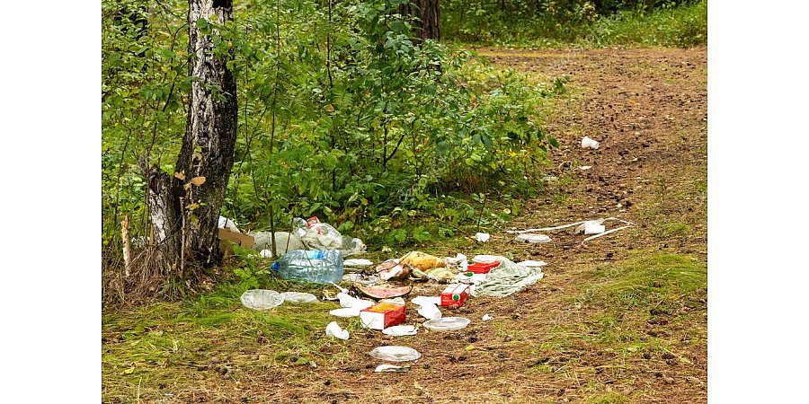 Лидская межрайонная инспекция охраны животного и растительного мира напоминает о поведении на природе при посещении лесов и водоемов