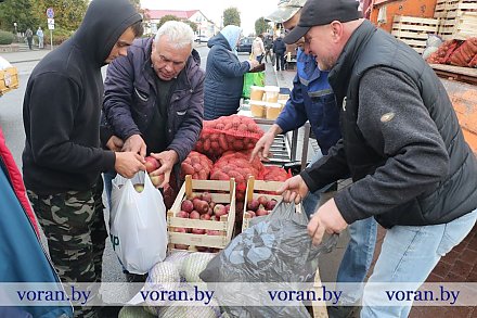 Самый ходовой товар — зерно и рыба. В Вороново прошла сельскохозяйственная ярмарка