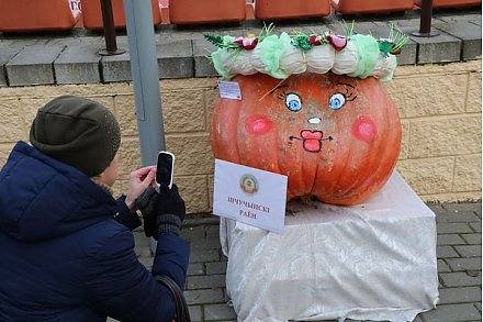 На «Дожинках-2019» в Сморгони определили рекордсменов среди овощей