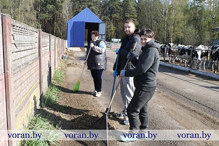 Командная работа. Трудовой десант управления сельского хозяйства и продовольствия райисполкома провел субботник на молочно-товарном комплексе 777 в экспериментальной базе «Октябрь»