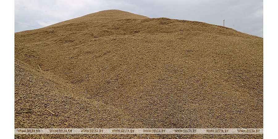 На одной из ферм Вороновского района выявили группу похитителей зерна