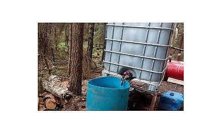 Какая ответственность грозит за самогоноварение?