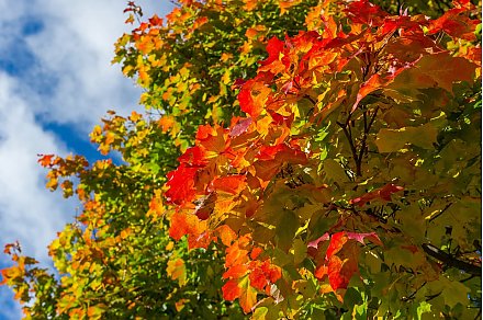 Сыро и туманно. Прогнозом на неделю с 20 по 26 октября поделился Дмитрий Рябов