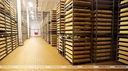 Вице-премьер: Беларусь продолжит наращивать объемы поставок продовольствия в Россию