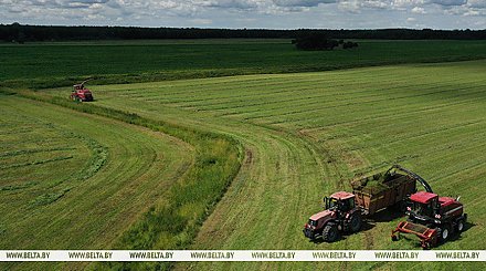 В Беларуси травы первого укоса скошены более чем на 23% площадей