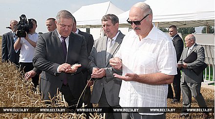 "Дайте сотню революционеров, и мы перевернем Беларусь" - Лукашенко обещает дальнейшую поддержку фермерам
