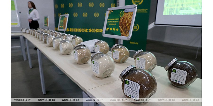 "Что дальше будем делать?" Александр Лукашенко начал посещение БНБК с вопроса на перспективу