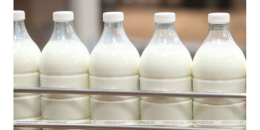 Замминистра о поручении Александра Лукашенко по экспорту сельхозпродукции: мы не остановимся на планке в $8 млрд