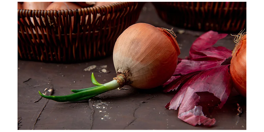 Народные приметы на 17 сентября: что можно и нельзя делать в этот день