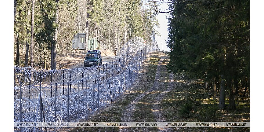 Сенатор: строительство забора в Беловежской пуще может сильно пошатнуть экологический баланс