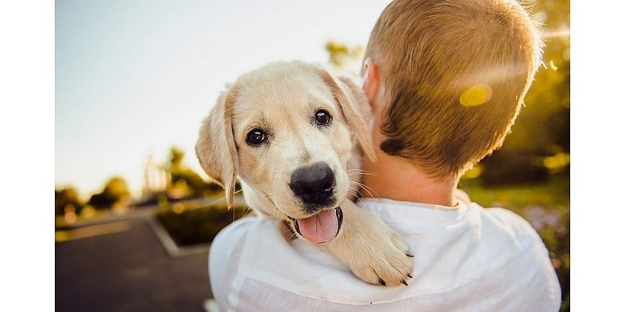 8 доступных способов повысить уровень гормонов счастья