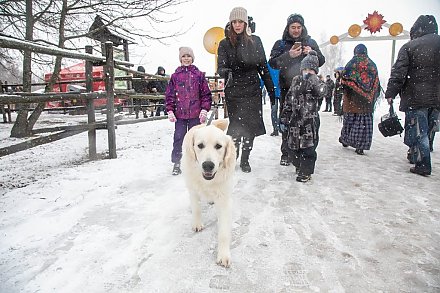 В Беларуси вырос налог за собак. Сколько придется платить в 2024 г. и что грозит за неуплату?