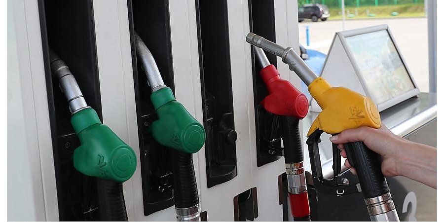 В Беларуси до конца года цены на топливо планируется увеличить на 5-6% - Светлана Гурина