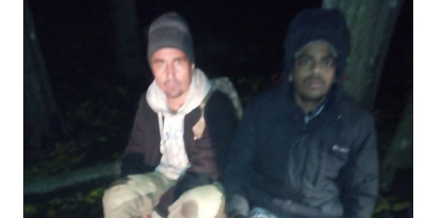 Польские пограничники покалечили беженцев из Афганистана и Бангладеш