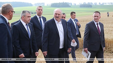Лукашенко о видах на урожай: 9,5 млн т зерна - минимум, который должны взять в этом году