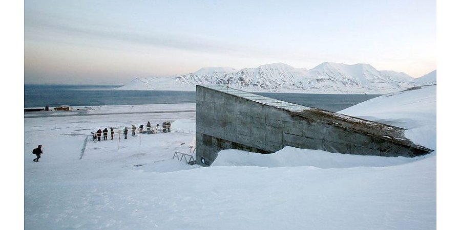 Всемирное хранилище семян на Шпицбергене пополнится редкими образцами