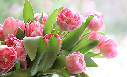 Поздравление Гродненского облисполкома и Гродненского областного Совета депутатов с 8 марта