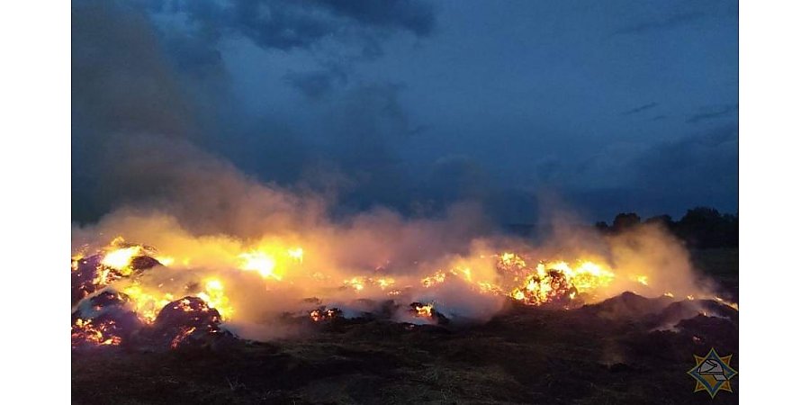 В Новогрудском районе девочка из интереса подожгла сено - сгорело 60 тонн