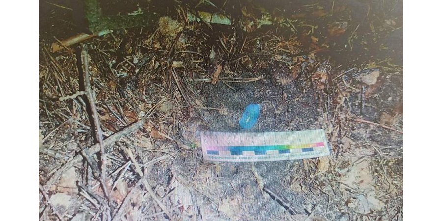 В Гродненский РОВД поступила информация о том, что у местного жителя могут храниться наркотики.