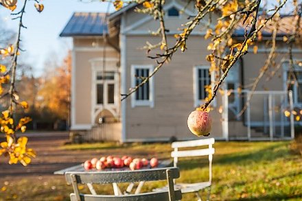 Витамины для сада. Чем подкормить фруктовые деревья в преддверии холодов