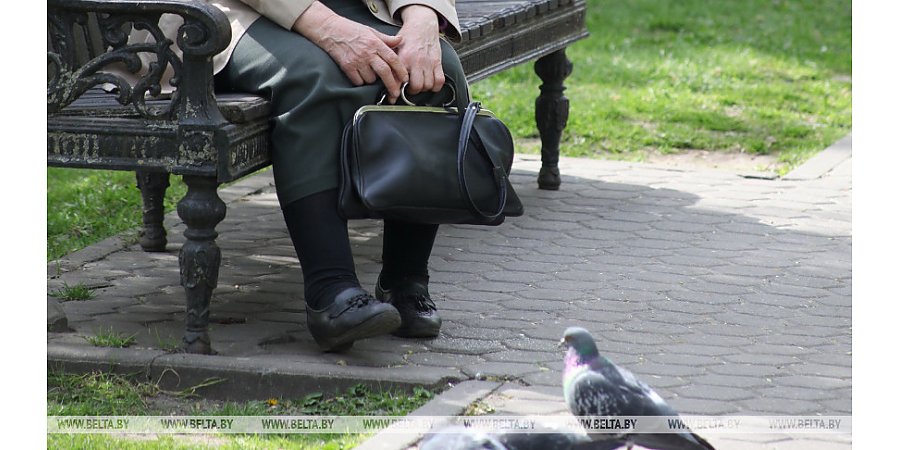 Будут ли в Беларуси повышать пенсионный возраст? Петришенко ответил на вопрос парламентариев