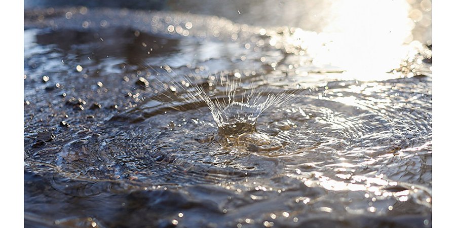 В Беларуси проходит республиканский водный конкурс исследовательских проектов