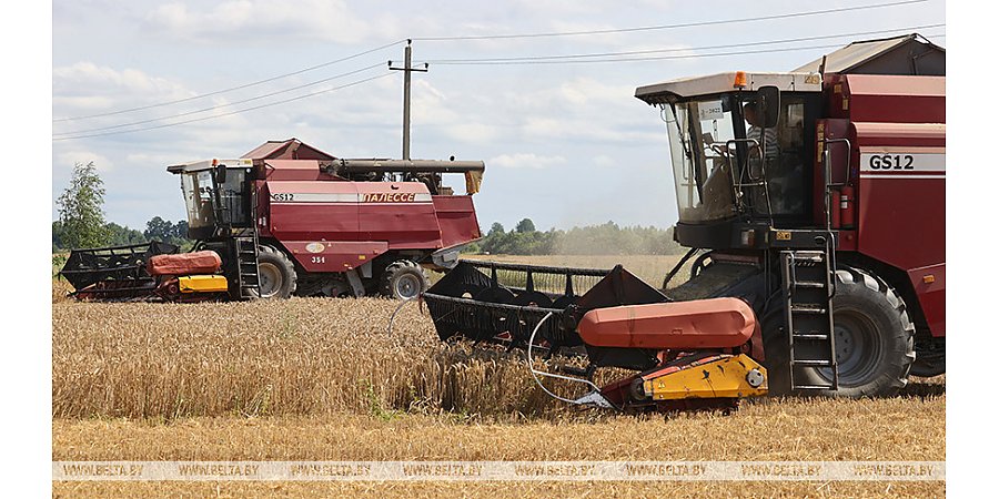 Александр Лукашенко требует дополнительно мобилизоваться на уборочной кампании