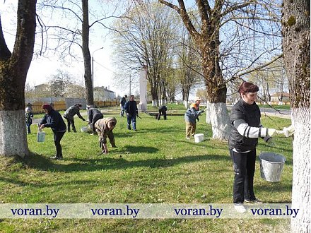 Субботник по-жирмунски