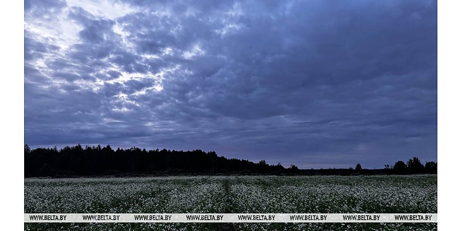 Дождливая с грозами погода ожидается сегодня в Беларуси