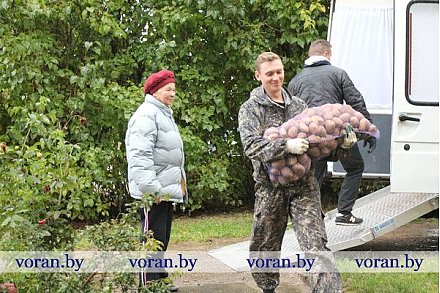 В Вороновском районе ветеранам Великой Отечественной войны и бывшим узникам концлагерей волонтеры доставляют картофель