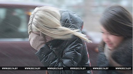 Оранжевый уровень опасности из-за сильного ветра объявили в Беларуси