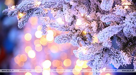 В Гродненской области выявили в продаже опасные гирлянды