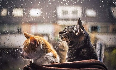 Дожди и очень тепло. Какой будет погода 1 февраля?