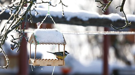 Облачно и до -11°С будет в Беларуси 23 января