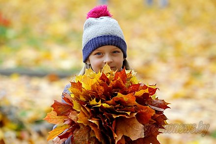 В Беларуси 7 ноября будет до 11 градусов тепла и в основном без осадков