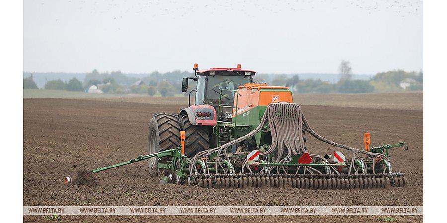 Winter sowing in Belarus 63% complete