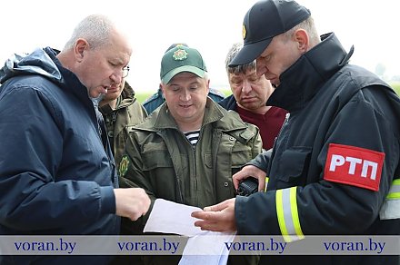 На месте лесного пожара в Вороновском районе работает областная комиссия по ликвидации ЧС