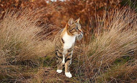 В выходные в Беларуси потеплеет до +20°С