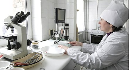 Главная мера профилактики — ветеринарная экспертиза